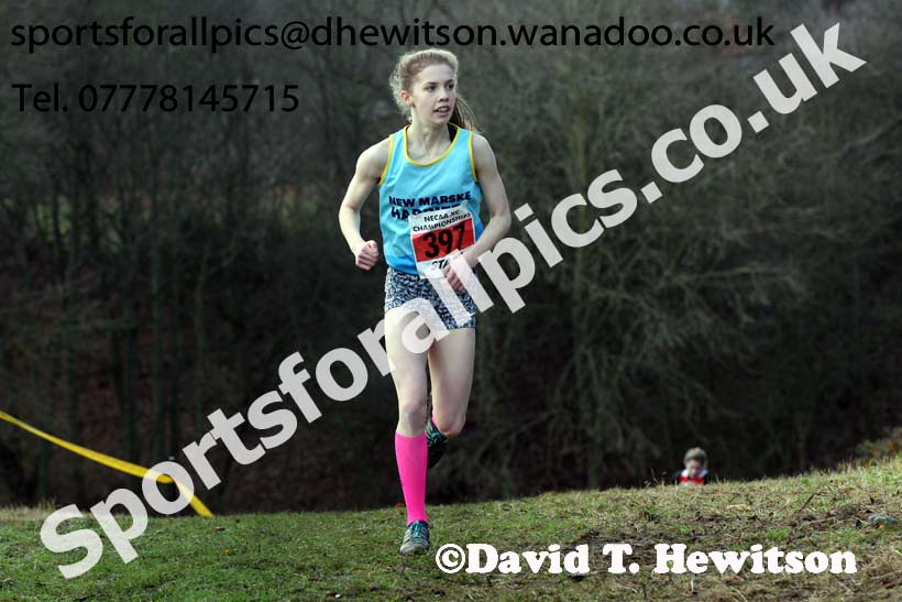 Girls under-15s North Eastern Cross Country, Aykley Heads, Durham. Photo: David T. Hewitson/Sports for All Pics